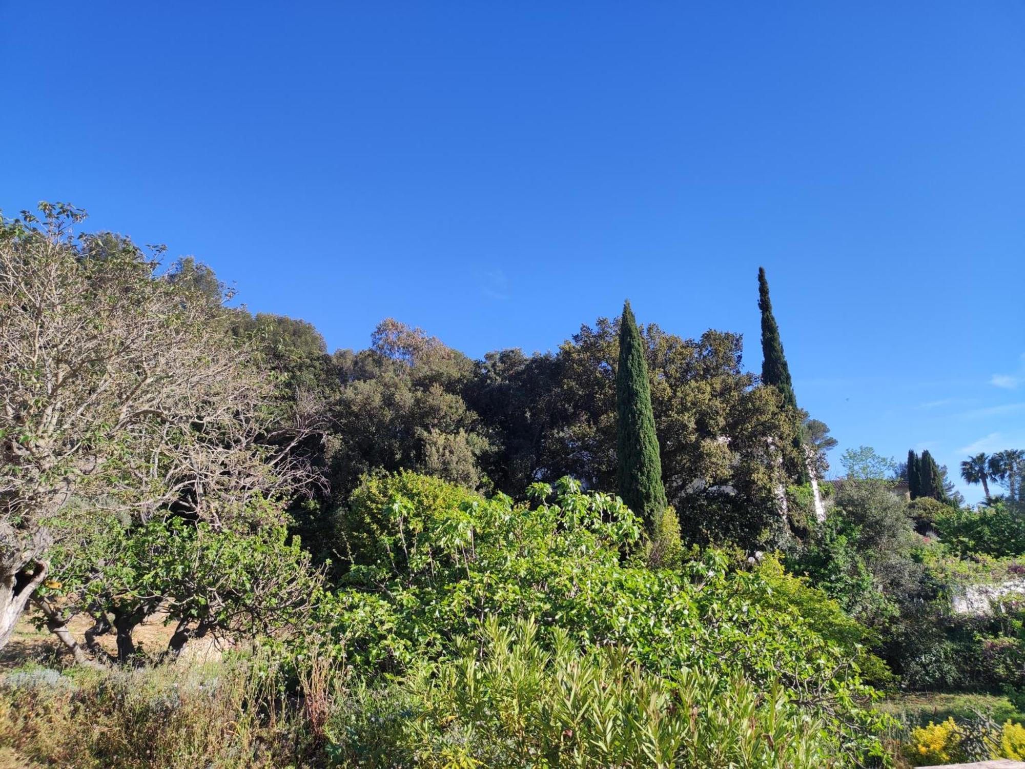Bastide Provencale Vue Mer A 5 Min De La Plage Sanary-sur-Mer Room photo